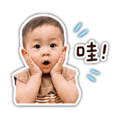 我是小白皮2