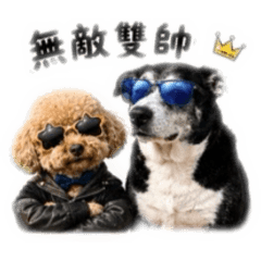 橘貓李白-家人篇