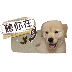 哇洗阿瑞(幼年時期)
