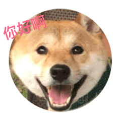 蹦蹦長大了
