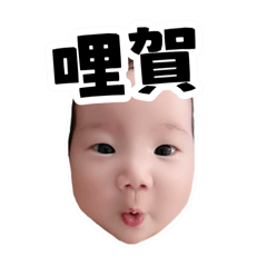 小丁寶