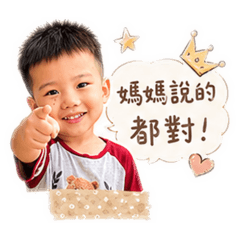 虎哥哥の用語o
