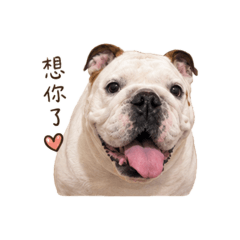 多多想你了
