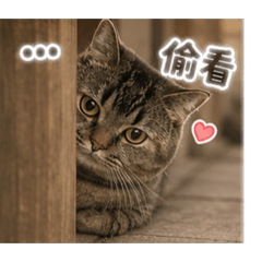 Fufu7