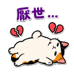 厭世阿咪z