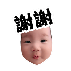 小丁寶的日常1