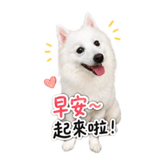 饅頭乖孫