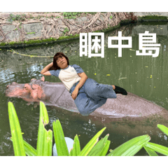 睏中島中