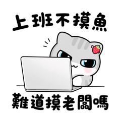 呆萌的喵喵來了
