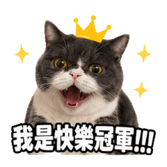 NINI的快樂人生