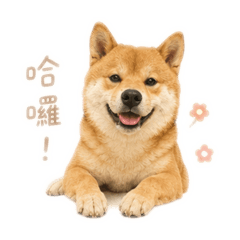 MARU_190816
