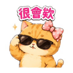 圓圓橘貓的實用系列2