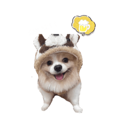 球球寶的貼圖～(*≧ω≦)