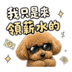 調皮圈圈實用系列2