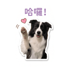 郭LuLu in the house
