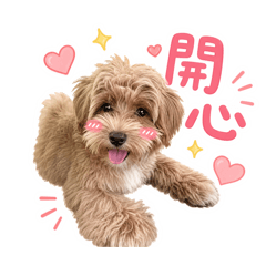 Yun專屬貼圖❸