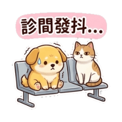 小黃動物醫院看診模式