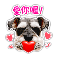 瘋狂牛仔