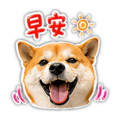 辛巴阿