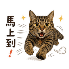 Nagi-日常篇（免費