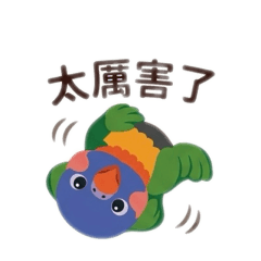 可愛的彩虹鳥