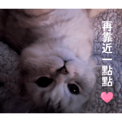 Muna 第一彈o(≧v≦)o