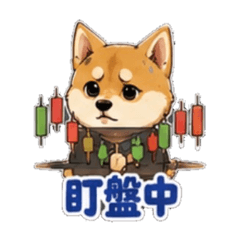 K先生股海人生