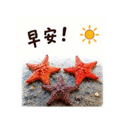 勇敢小貼圖 06 海星問候篇
