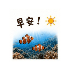 勇敢小貼圖 07 海洋生物問候篇