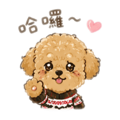 晴晴Q狗