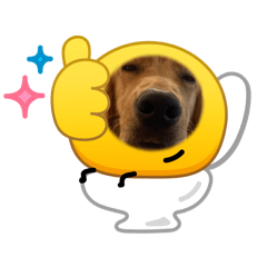 黃金獵犬Double