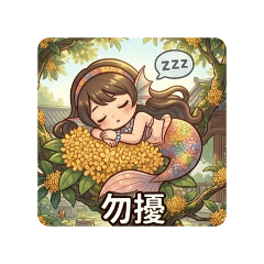 美人魚（莉)20260529