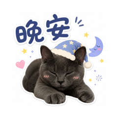 豬咪咪咪咪咪