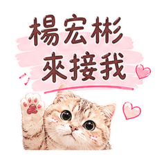 QQ日常實用貼圖