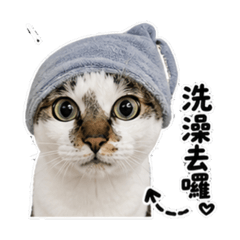 菸嗓可愛丟