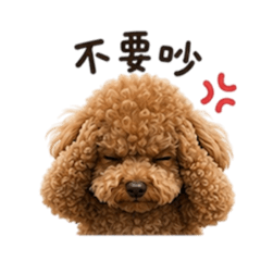 小小帥的日常