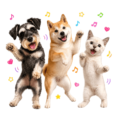 小糰吉Family 3