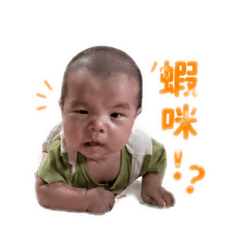 ㄧㄤˊ皮蛋