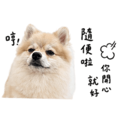 呼呼呆萌4 貼圖