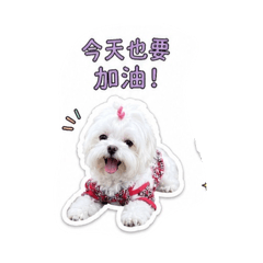 瑪媽是瑪爾控