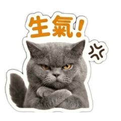 瘦丹丹