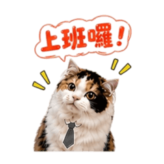 奶茶～喵上班加油！