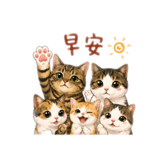 好動的喵2