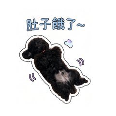 Kobe日常小生活2