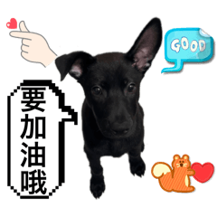 小小可愛滷肉