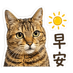 新民街三月1