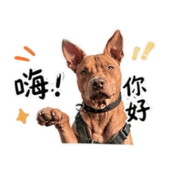 麻尼的經典之作❤️