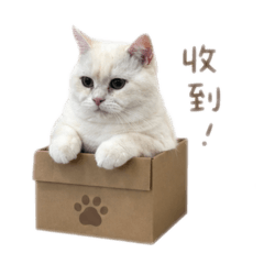 奶茶ㄋㄟㄋㄟ