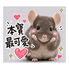 豬芯寶貝