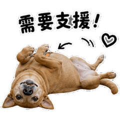 《Lucky小公主｜超實用工作貼圖》